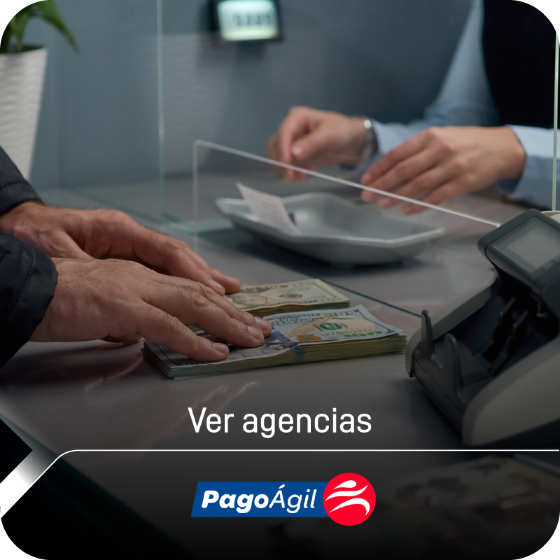 Entrega de casa