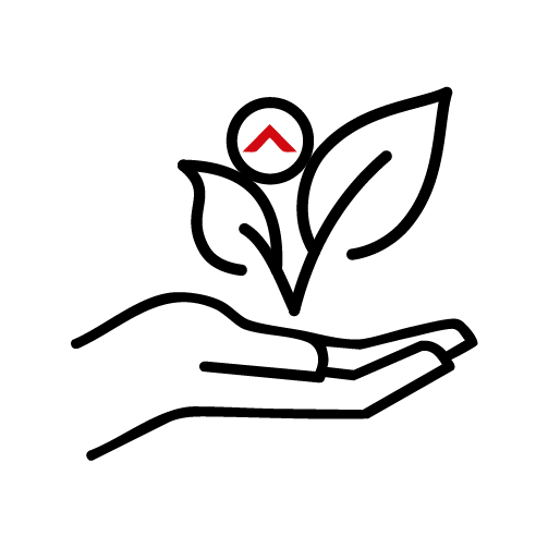 Requisitos