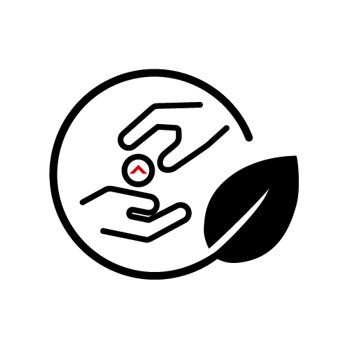 Requisitos