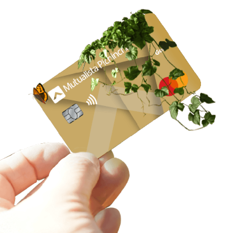 Pasos pagar Tarjeta de Crédito