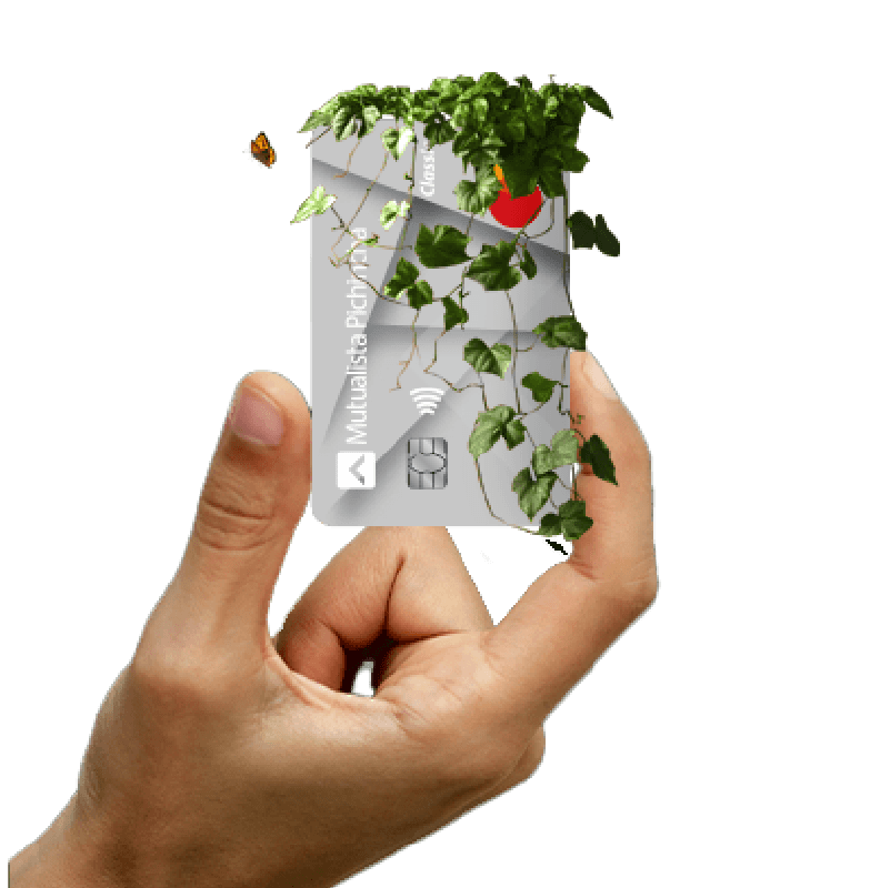 Pasos pagar Tarjeta de Crédito