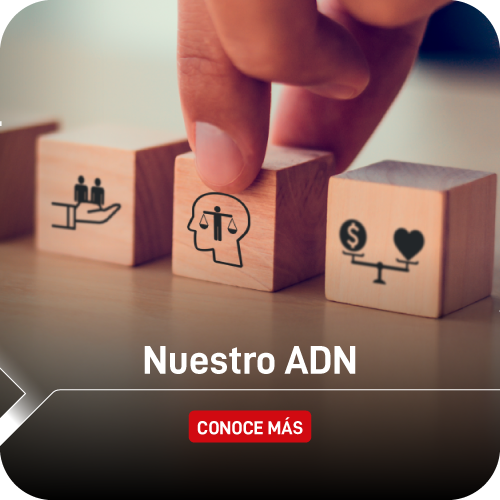 ADN - CDA
